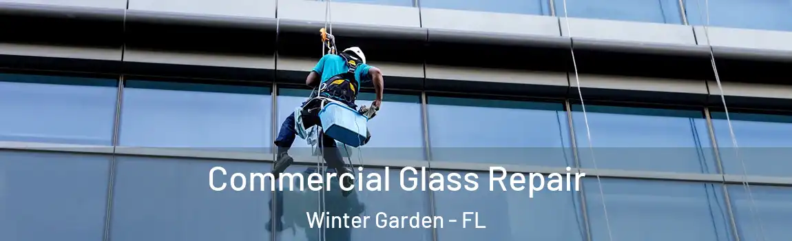 Commercial Glass Repair Winter Garden - FL