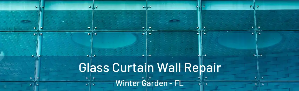 Glass Curtain Wall Repair Winter Garden - FL