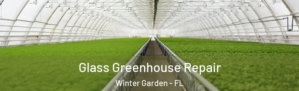 Glass Greenhouse Repair Winter Garden - FL