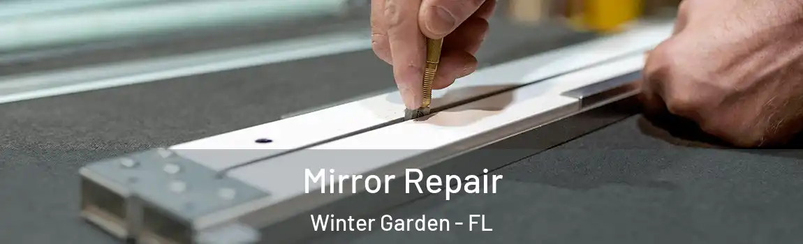 Mirror Repair Winter Garden - FL