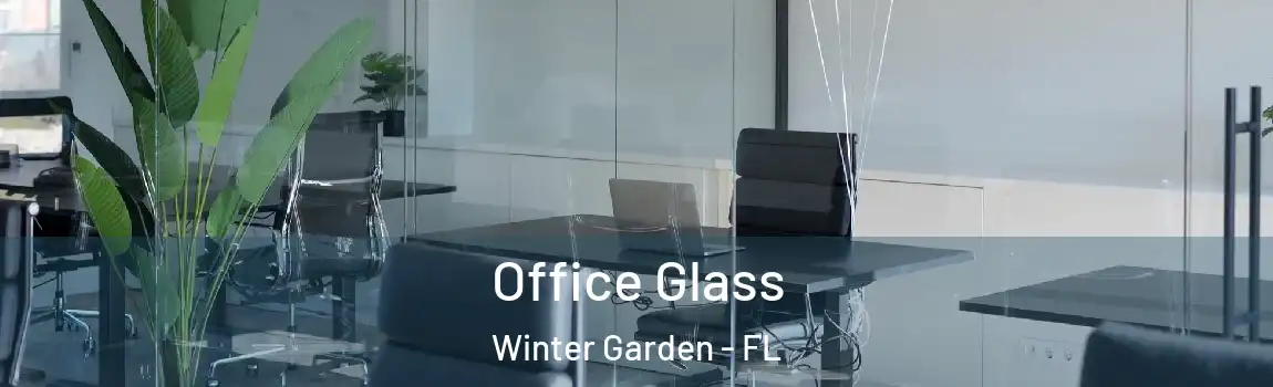 Office Glass Winter Garden - FL