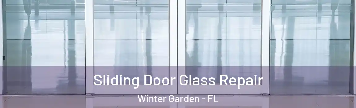 Sliding Door Glass Repair Winter Garden - FL