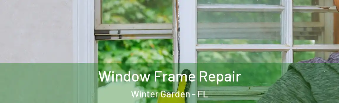 Window Frame Repair Winter Garden - FL