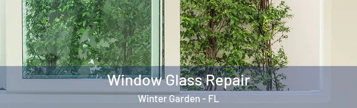 Window Glass Repair Winter Garden - FL