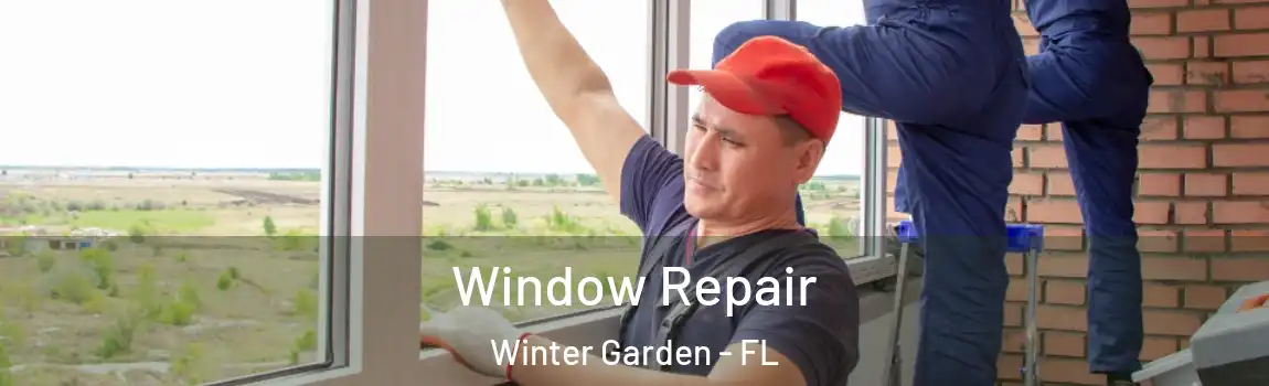 Window Repair Winter Garden - FL