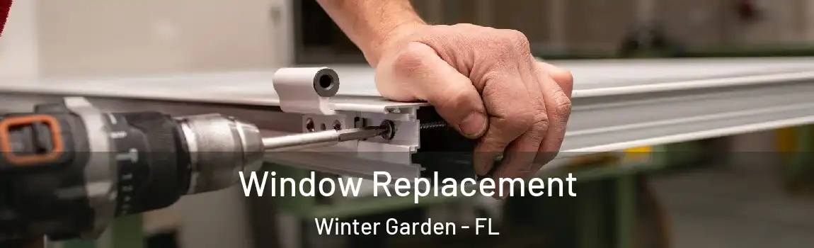 Window Replacement Winter Garden - FL